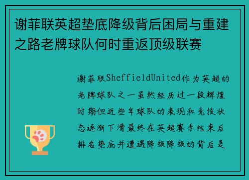 谢菲联英超垫底降级背后困局与重建之路老牌球队何时重返顶级联赛